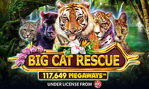 88vinlink Big Cat Rescue Megaways